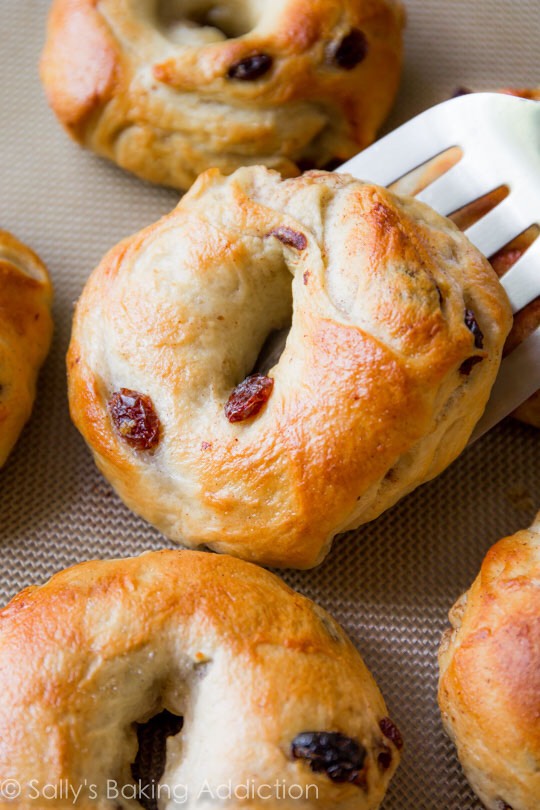 Homemade Cinnamon Raisin Bagels - These Look SO Yummy!
