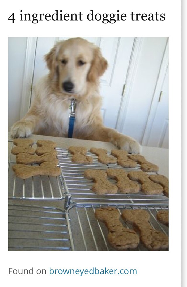 -> Doggie Treats Recipe;

http://www.browneyedbaker.com/gone-to-the-dogs/