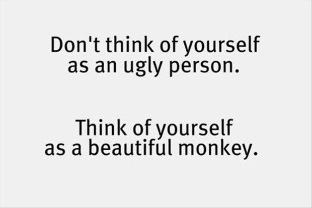 💎💰🐵🐒