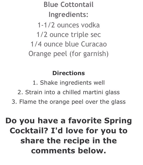 5 Spring Cocktail Recipes! 🍸🍹🍷😋