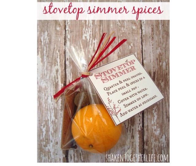 DIY Christmas Gifts 