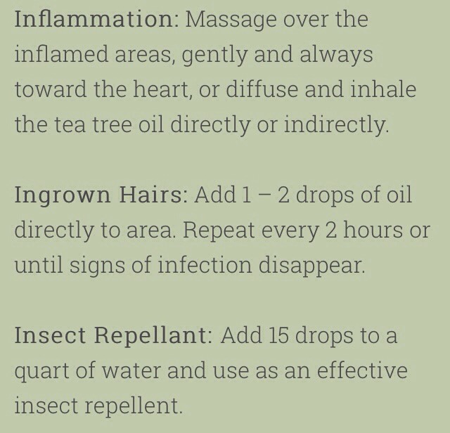 💥75 Amazing Tea Tree Oil Uses💥
