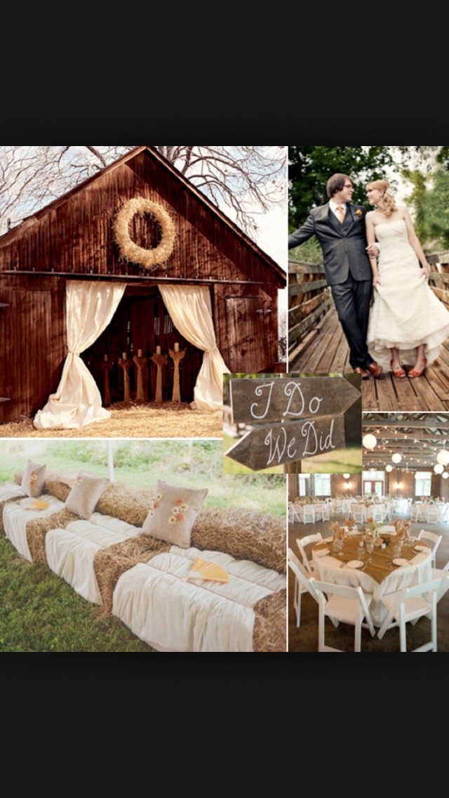 Wedding Ideas 