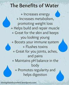 Gallon Water Challenge Drink Up