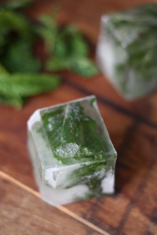 After a few hours in the freezer, you are all set. Enjoy your mojitos!