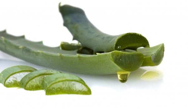 ALOE VERA AND ITS BENEFITS!