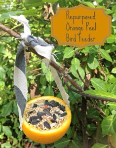 Re-purposed Bird Feeder

Here, Bird-feeder from an Orange peel, A craft for a environment . Natural bird-feeder is a best craft for birds because you can help birds using  just little efforts and also you can decorate your garden using only a Orange peel ,  then why are we not??