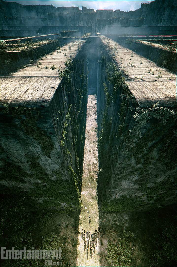 4. Maze Runner🍃
'You are the shuckiest shuck faced shuck in the world!'