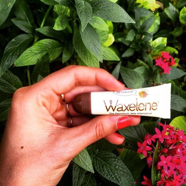 If you're looking for something to help hold in moisture and nourish the skin, try a natural products like Waxelene, which can accomplish both. Simple, natural and certified organic ingredients with amazing properties, plus their patented aeration process, have enabled them to avoid the use of petroleum or artificial ingredients in Waxelene, while even improving on the performance of traditional petroleum jelly. Get yours here. 