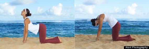 Morning Yoga Routine