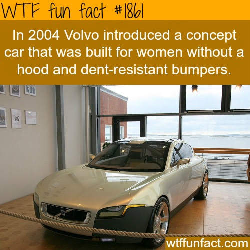 Fun Fact About Women 😱👍💯