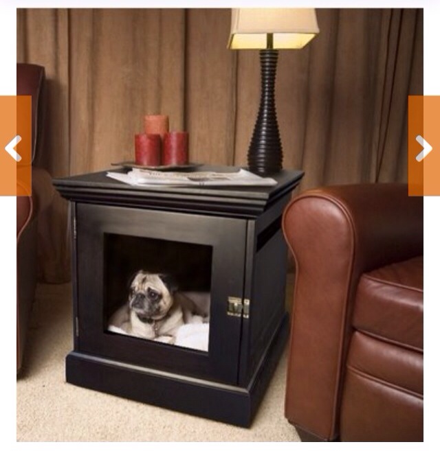 🌟 Creative Dog Bed Ideas You And Furry Friend Wld Love! 🌟