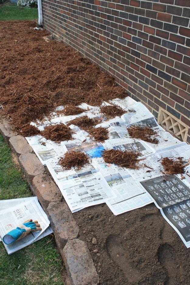 Use newspaper beneath mulch to keep the weeds out in your garden.
This really works � no weeds for two years!!” If that isn’t convincing, I don’t know what is.