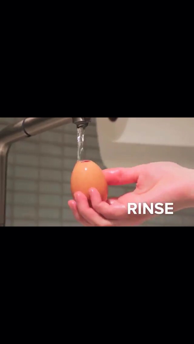 Bake A Cake In An Egg!