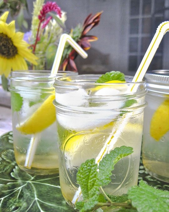 How to: 
- Stir honey and water in a pitcher until honey is dissolved. 
- Add the rum and lemon juice then add the lemon balm leaves and muddle with a wooden spoon.
- Fill 8 to 10 glasses (or canning jars for full effect) with ice cubes.
- Divide the cocktail evenly among the glasses. 
