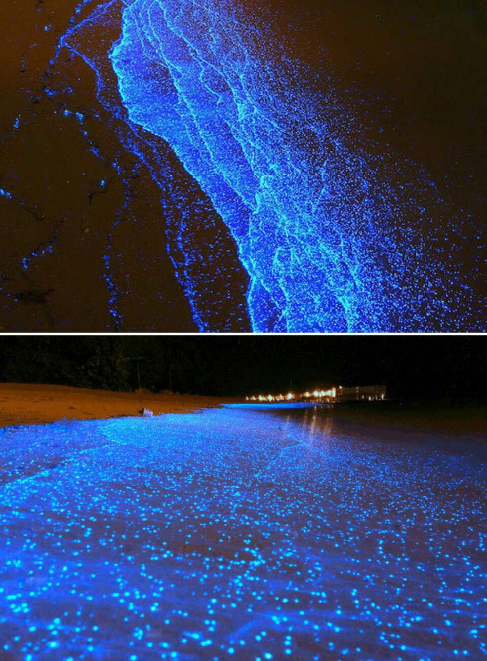 Sea of Stars in Maldives