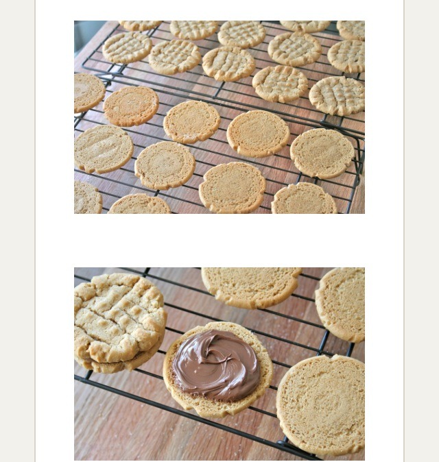 PEANUT BUTTER CHOCOLATE-HAZELNUT COOKIE SANDWICHES