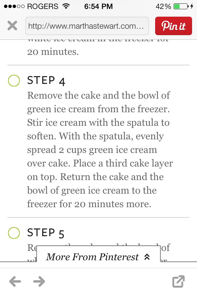 Mint Chocolate Chip Icecream Cake