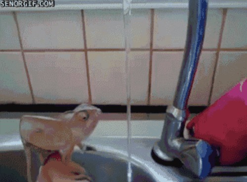 Save your back and let them use the tub faucet OR make a faucet extender by cutting up an old bath bubble bottle. Cut off the bottom of the bottle and place it over the faucet, turn on, and let the water run out of the top.