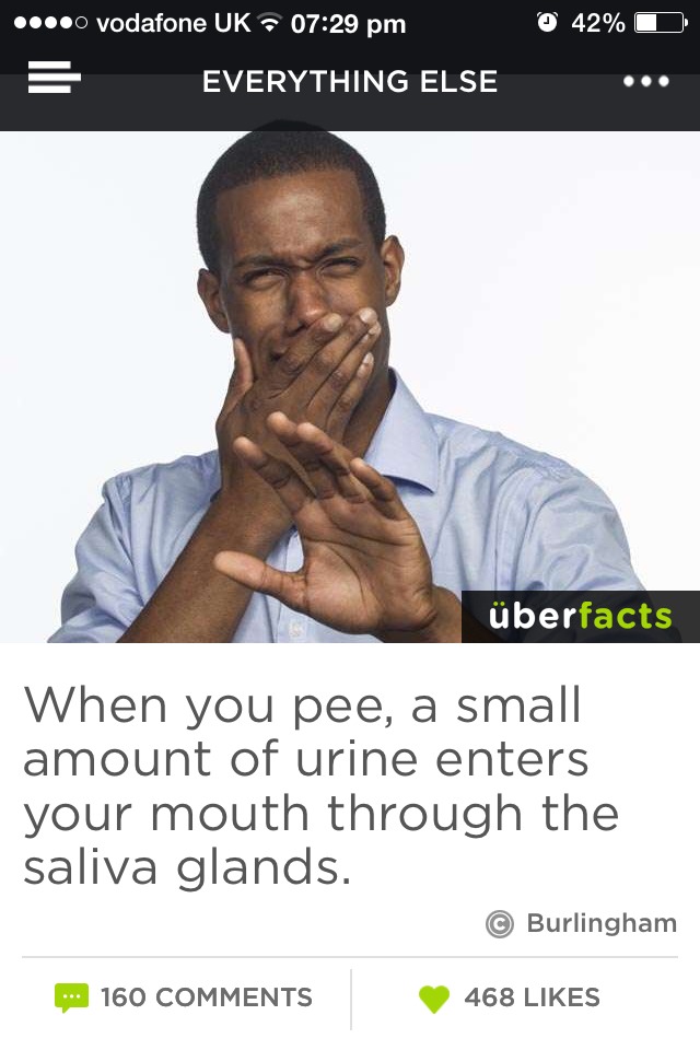 Fun Facts😜