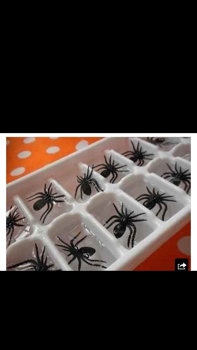 Halloween decorations! 