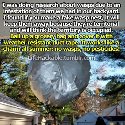 Summer Hacks