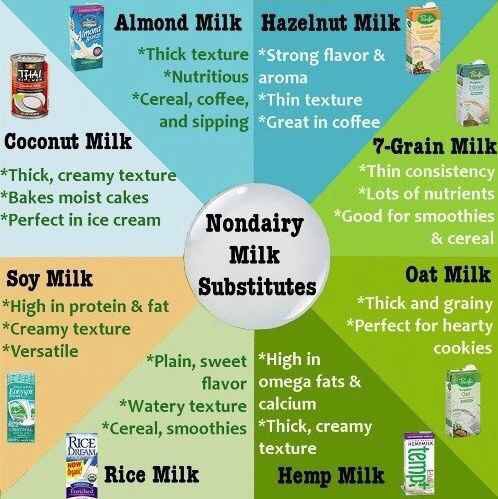 Ways to substitute dairy milk in your favorite recipes 