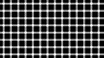 Can you see the black dots?