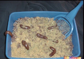 The cat litter box idea is also another one of my favorite Halloween foods. It's just crushed cereal and the "cat poop" is chocolate.