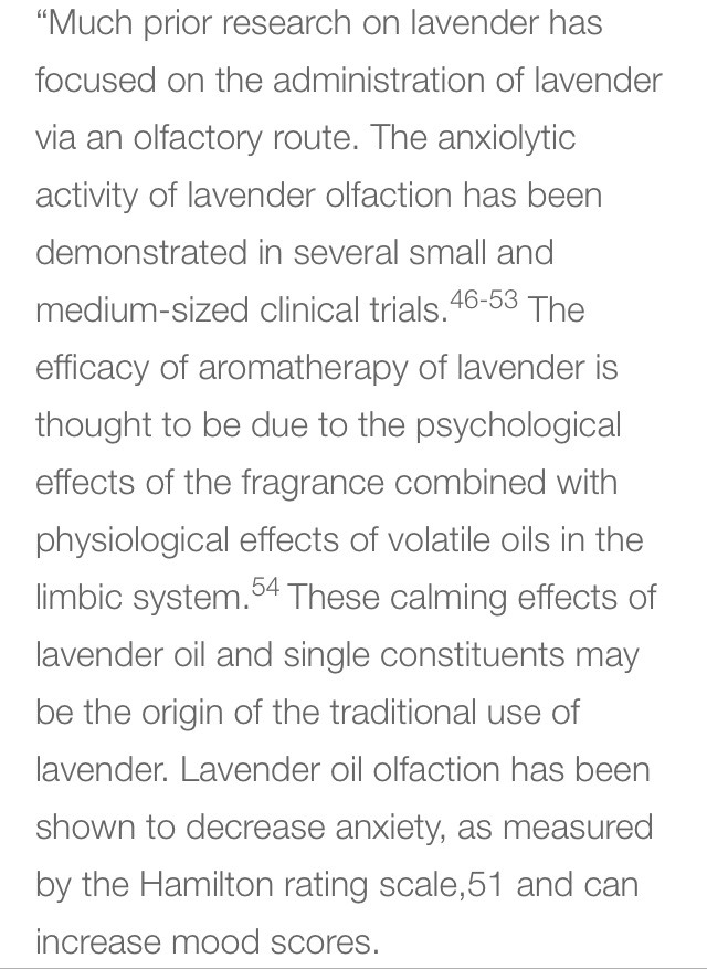 💜How To Make Lavender Lemonade To Get Rid Of Headaches And Anxiety!💜