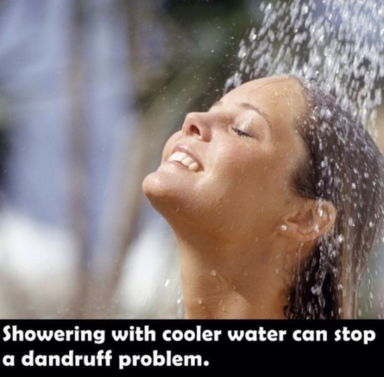 Everyday Life Tips! 