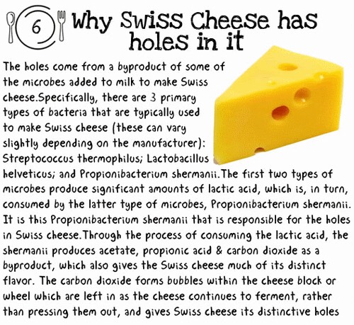 Fun Food Facts. 😊