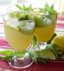 Basic Mojitos 

http://www.food.com/recipe/basic-mojito-ingredients-60506
