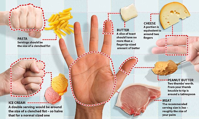 Guide To Weight Loss
