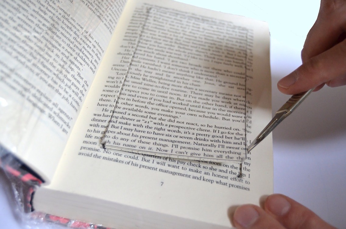 Cut out the parts of the book you would like at put things into✂️