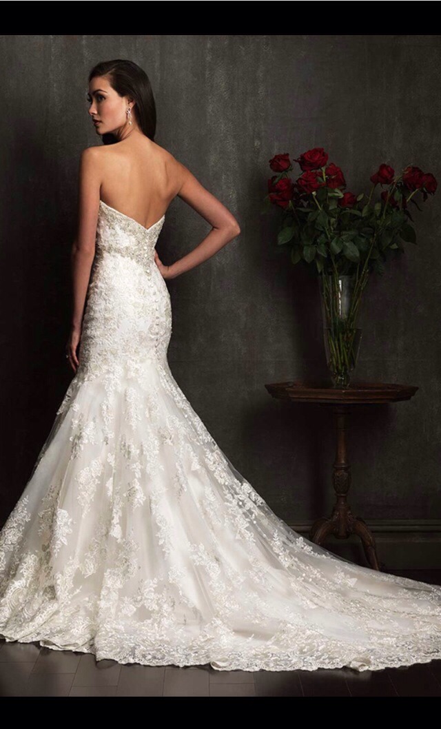 Beautiful Wedding Dresses UNDER $500! π #tipit