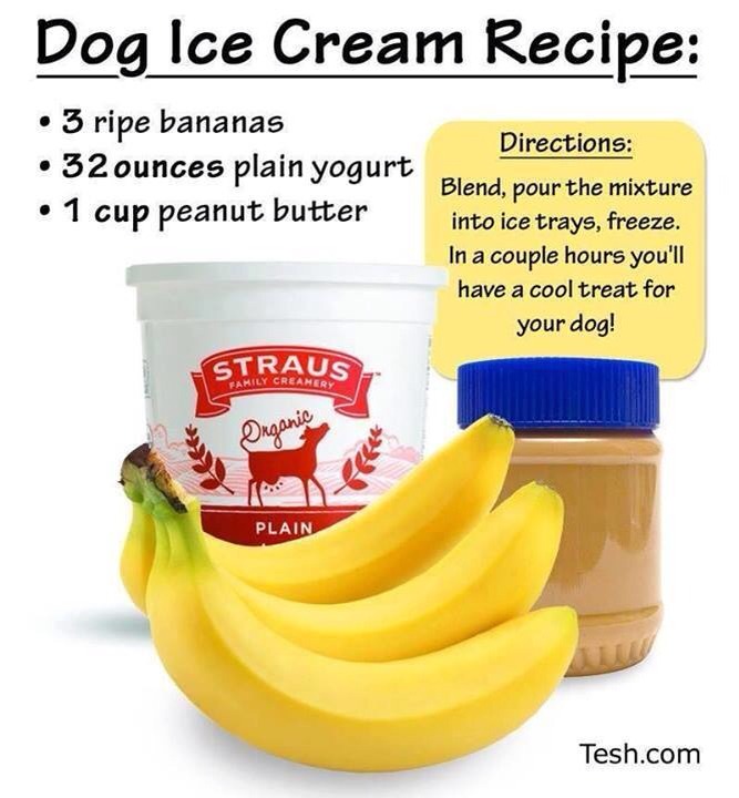 DIY Healthy Ice Cream For Your Dog