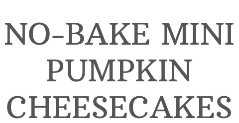 No Bake Pumpkin Cheese Cake 🎃