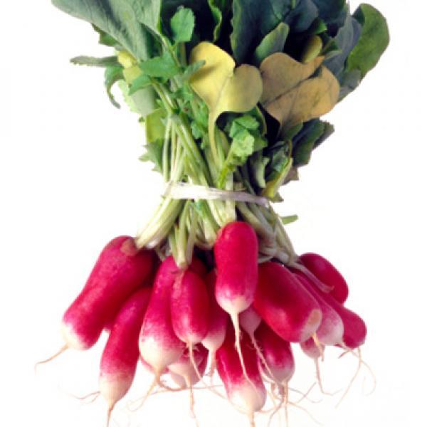 Radishes