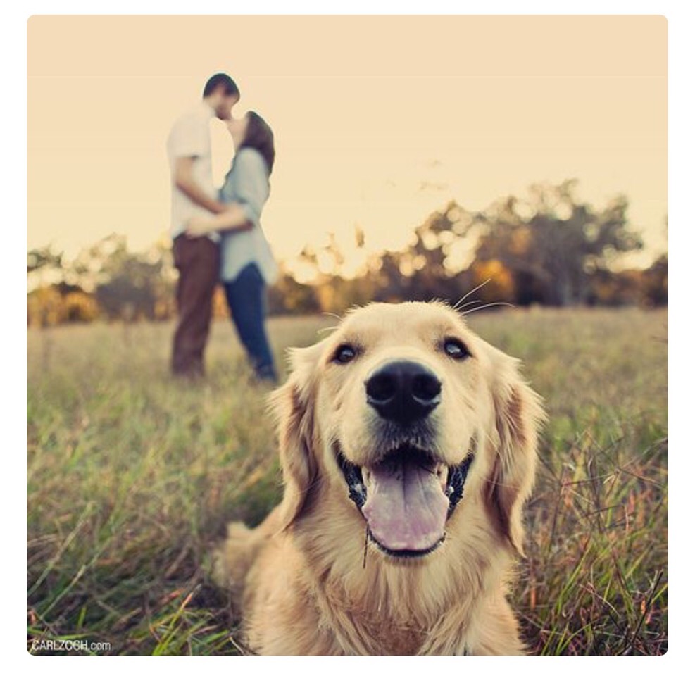 ✨ 20 Epic Fall Engagement Photo Idea✨ #tipit