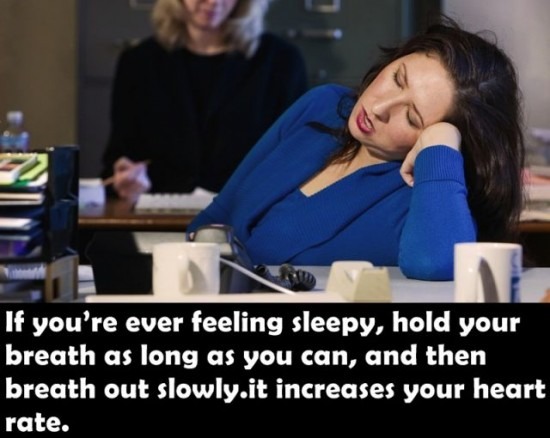 Everyday Life Tips! 