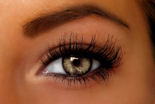 Hazel eyes🌺
Elegance is the first word associated with hazel eyes. They are fun-loving and always up for an adventure. They are brave and courageous. They love to try new things. There beauty often attracts a lot of people but does not last long unless your THE ONE for them.
