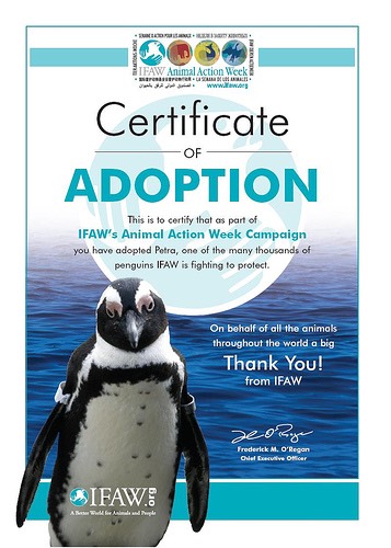 Adopt a penguin ,lion cub, lizard , elephant! Its amazing you get free gifts and updates on how your pet is doing. It costs from as little as £3 to as much as £50 depending how much you want to donate