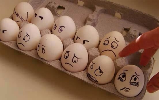 Cute Eggs