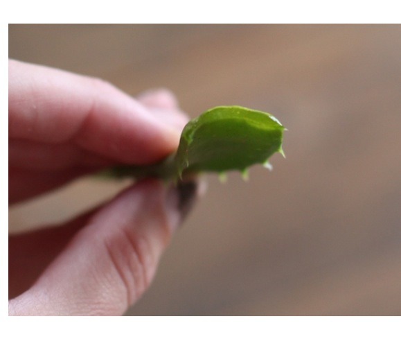 5 Natural Renedies For Dry Skin & A Dry Skin Mask