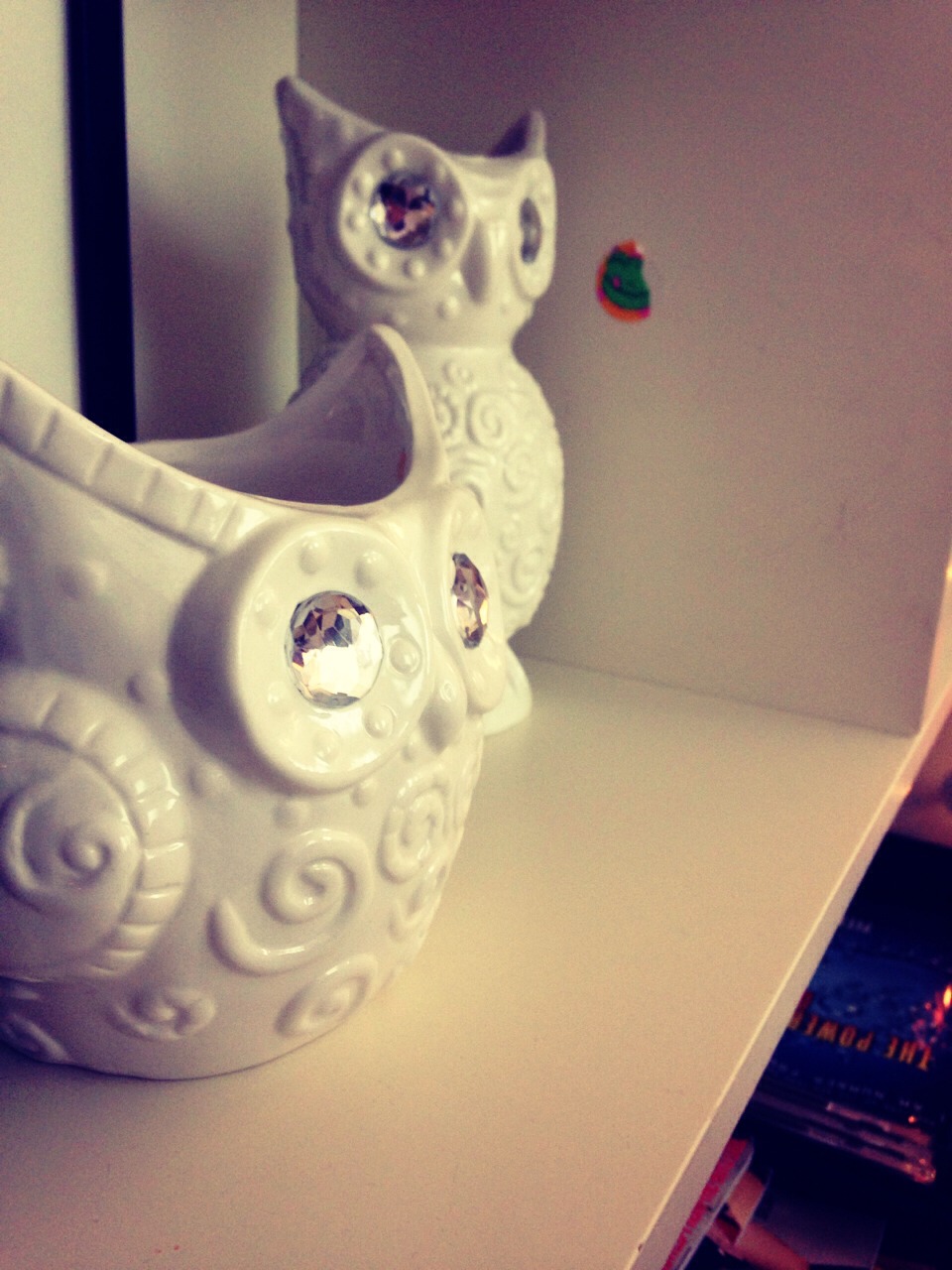 I added some ceramic owls I got from micheals to my room!