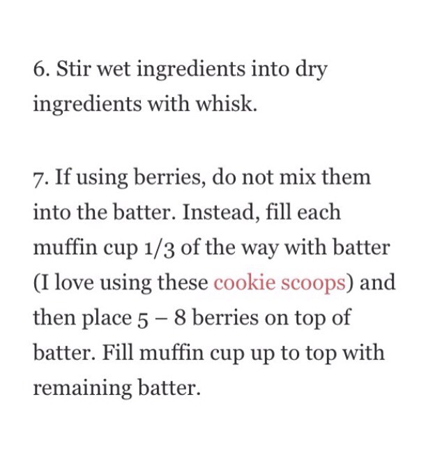 Blueberry Muffin 