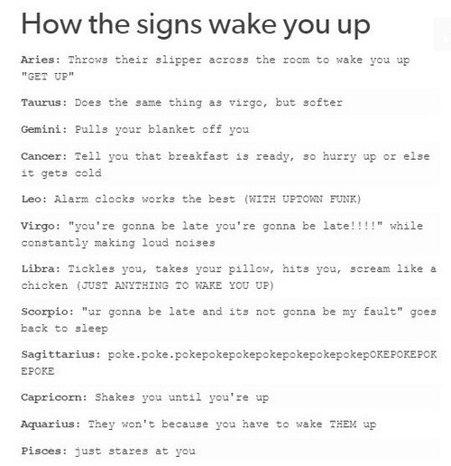 🔮 MORE Fun Horoscopes 🔮