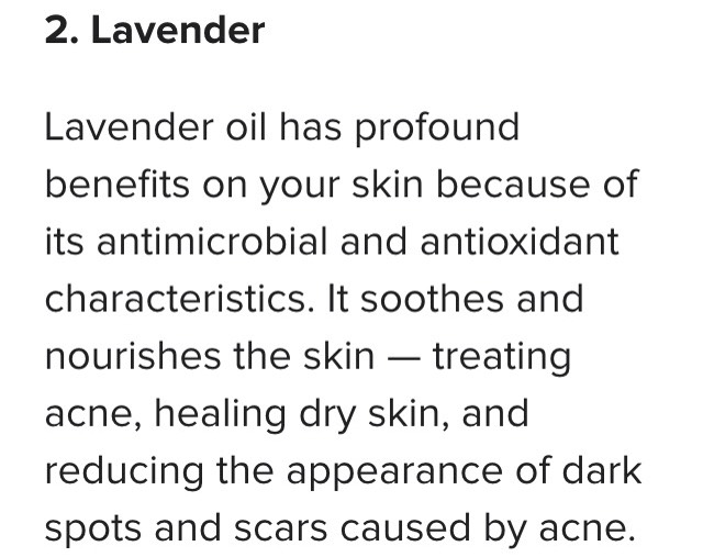 Top 4 Essential Oils for Acne🍯