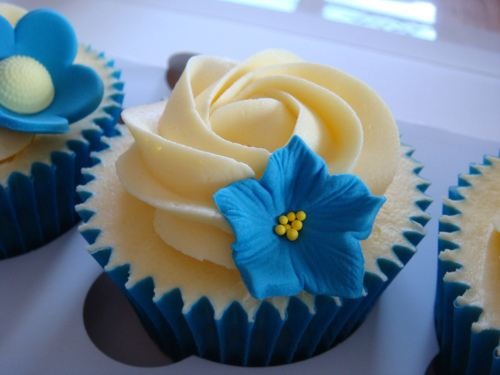 Pretty And Unique Cupcakes 
